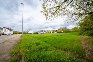 Lush green field extends toward a quaint village under a cloudy sky. A rural scene depicting...