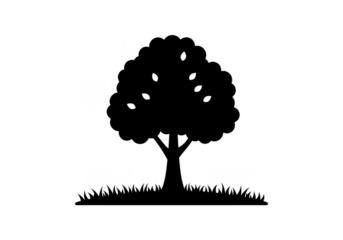 Bokeh Lights Abstract Tree Light Black Background Illustration