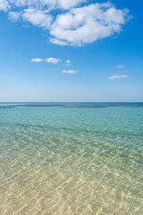 透明度抜群の海
