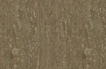 Fototapeta premium High Quality Wooden Texture Premium Rustic Design Pattern