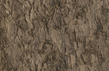 Wooden Surface Texture Premium High Quality Decorative Background