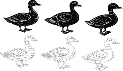 Set of duck icons, outline and silhouette vector illustrations of birds.