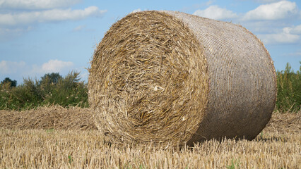 Close up of a large round bale of wheat straw in a harvested field