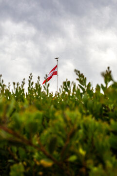 Looking through beach shrubs to a beach house and flag pole