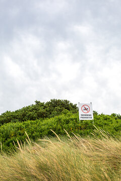 Looking through dune grass to a no swimming beach sign