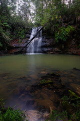 Beautiful falls in the rainforest.