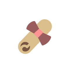 charter achievment flat icon