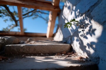 A resilient plant thrives amidst stone steps, highlighting nature's beauty in unexpected places and the struggle for survival in urban environments.
