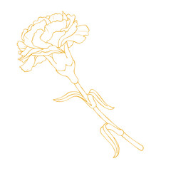 Elegant gold carnation flower outline vector illustration isolated on white background
