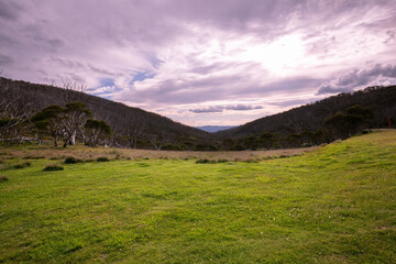 Late Afternoon View Dead Horse