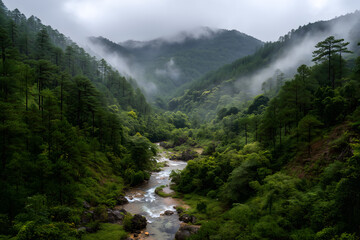 Obraz premium mountain river in the mountains