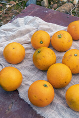 Fresh fruit, candied oranges, are neatly placed on the fabric