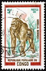 Postage stamp Congo 1972 gorilla, great ape that inhabit the tropical forests of equatorial Africa