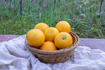 Fresh fruit, sugar-coated oranges, packed in a fruit basket
