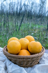 Fresh fruit, sugar-coated oranges, packed in a fruit basket
