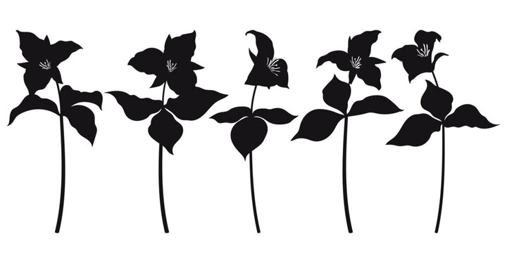 Set with Trillium grandiflorum or wakerobin flower silhouettes in black isolated on white background.