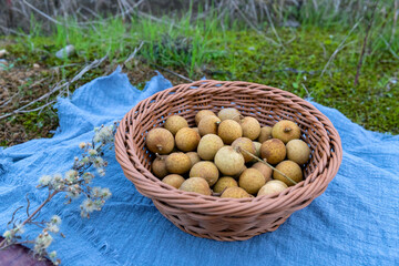 Fresh longans in the fruit basket