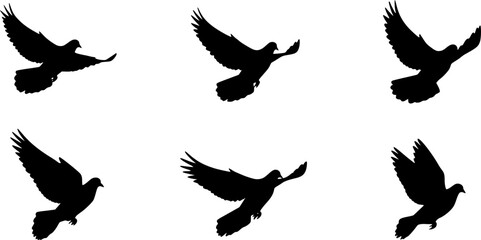 Obraz premium Pigeon silhouette, flying dove silhouette vector 