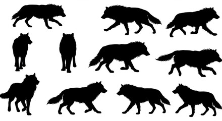 Fototapeta premium Silhouette of a wolf vector illustration isolated on white background 