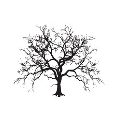 Obraz premium Cotton Tree Outline Graphic