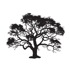 Cotton Tree Silhouette Illustration