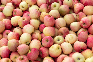 Fresh red Fuji apples neatly stacked