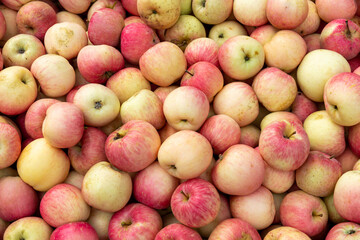 Fresh red Fuji apples neatly stacked