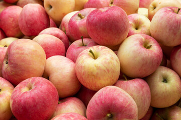 Fresh red Fuji apples neatly stacked