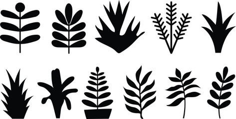 Abstract Black Silhouette leaves Icons for Design. Set of tropical leaves silhouettes. Flowers and plants, floral botanic design templates. Vector Illustration