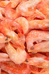 Fresh shrimps in ice. Top view.
