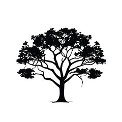 Forest Cotton Tree Silhouette