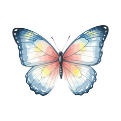 Obraz premium Beautiful butterfly Isolated on Transparent Background – Watercolour Illustration