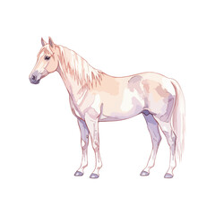 Horse Isolated on Transparent Background – Watercolour Illustration