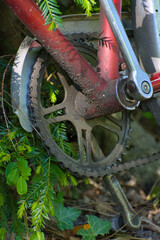 A forgotten red bicycle peeks through vibrant greenery—rust, nature, and nostalgia merge in this...