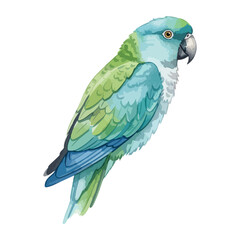 Parrot bird Isolated on Transparent Background – Watercolour Illustration