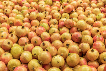 A pile of fresh orange-yellow pomegranate fruits