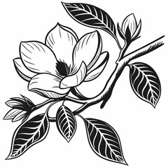 Art Flower silhouette with white background 