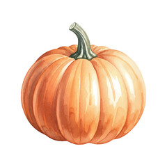 Fresh pumpkin Isolated on Transparent Background – Watercolour Illustration