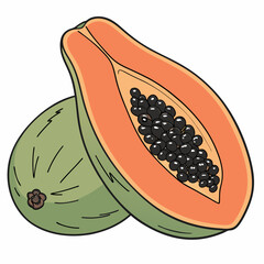 papaya fruit vector