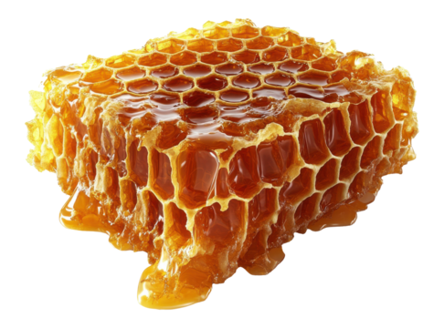 Honeycomb Piece with Dripping Honey on a Transparent PNG Image