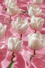 Elegant white tulips on calm pink surface, blooming flowers reflected in water with soft light