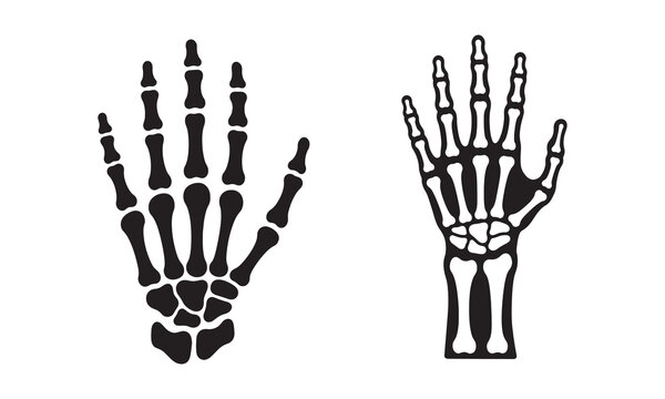 skeleton hand silhouette on white background .