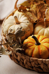 Detailed view of a small orange pumpkin and dried leaves in woven basket for autumn decor
