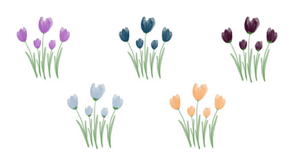 Fototapeta premium spring flowers vector illustration