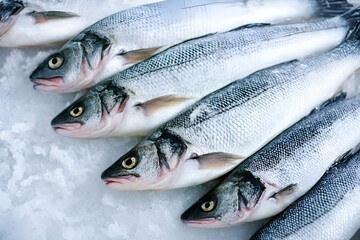 Fototapeta premium Freshly caught fish arranged on ice, highlighting the quality and freshness of seafood. Ideal for culinary, restaurant, and food photography projects.