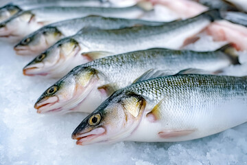 Fototapeta premium Freshly caught fish lined up on ice, showcasing their shimmering scales and vibrant eyes. Ideal for use in culinary and seafood-related content.