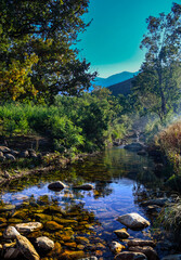 A clear, back-lit mountain stream, in the cool morning light near the Swartberg Private Game Lodge, near Die Kruis.