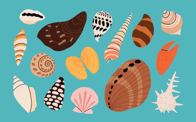 Sea shell cartoon set. Ocean exotic underwater seashell conch aquatic mollusk, sea spiral snail collection. Tropical beach shells. Modern flat style isolated on white background. Vector illustration