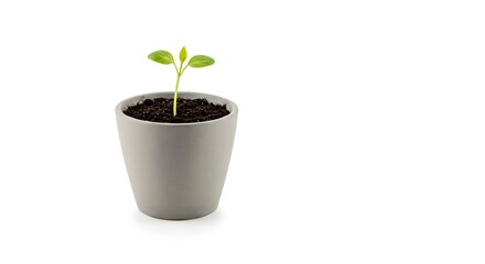 A small, unadorned ceramic planter with a tiny green sprout emerging from the soil, isolated on a white background