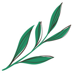 Green Branch with with Simple Brush Line Leaves. Delicate foliage with cute line sketches of branches isolated on white background. Nature herb perfect for invitations, cards, posters, holidays